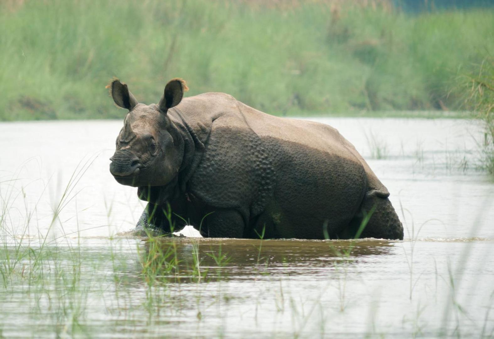 Family House - Bardia National Park Hotel Bardiya Luaran gambar